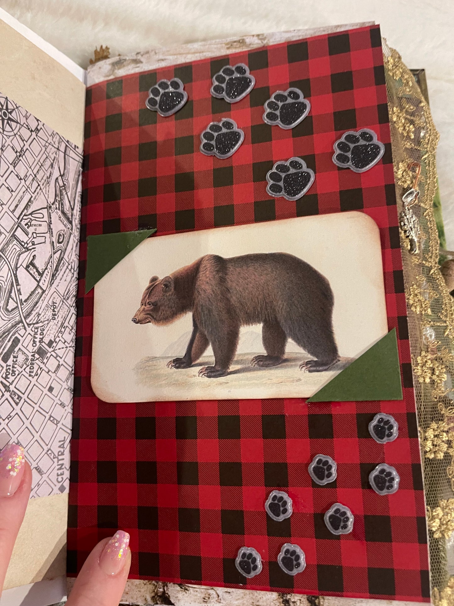 Bear Journal, Iris