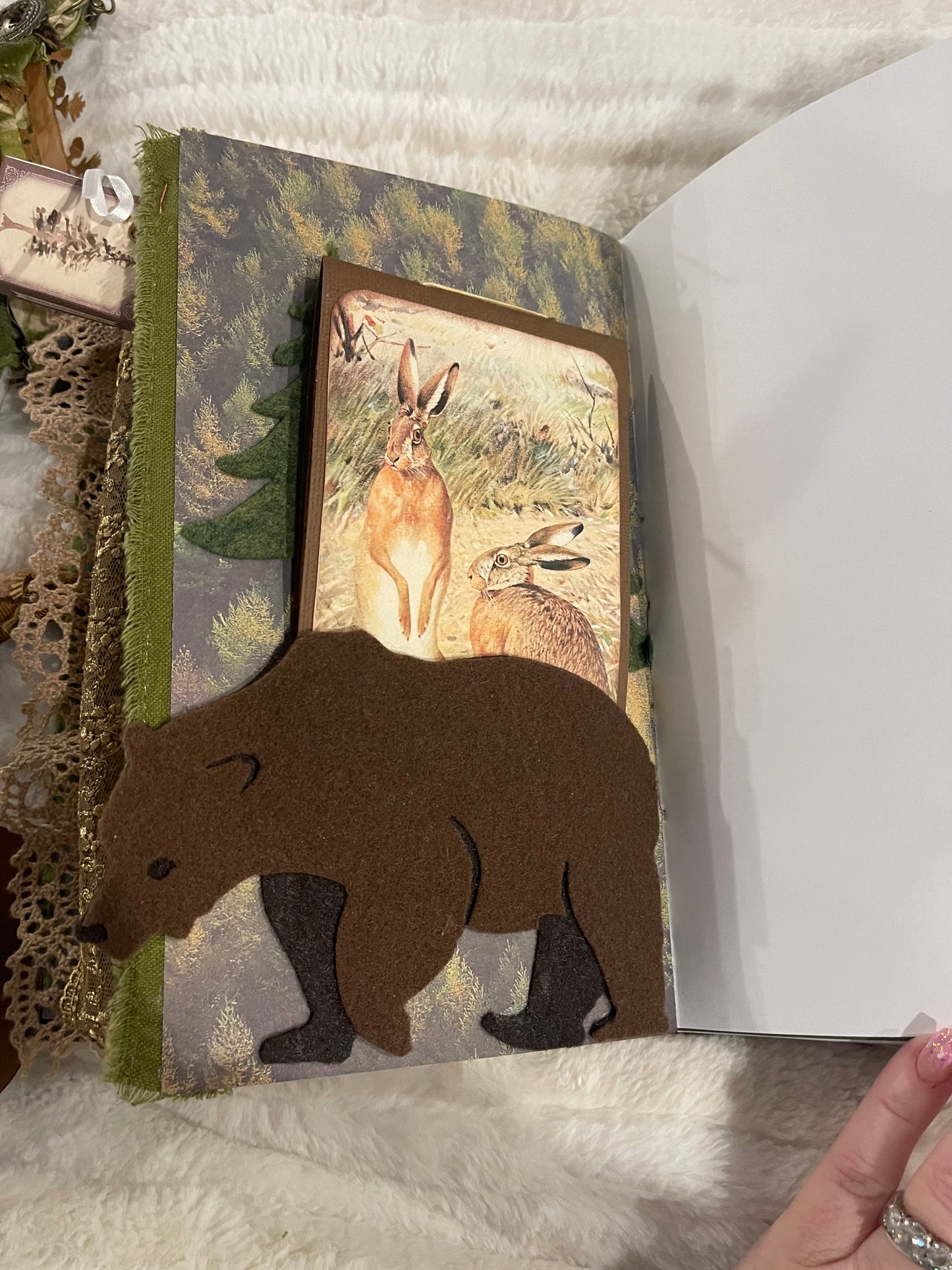 Bear Journal, Iris