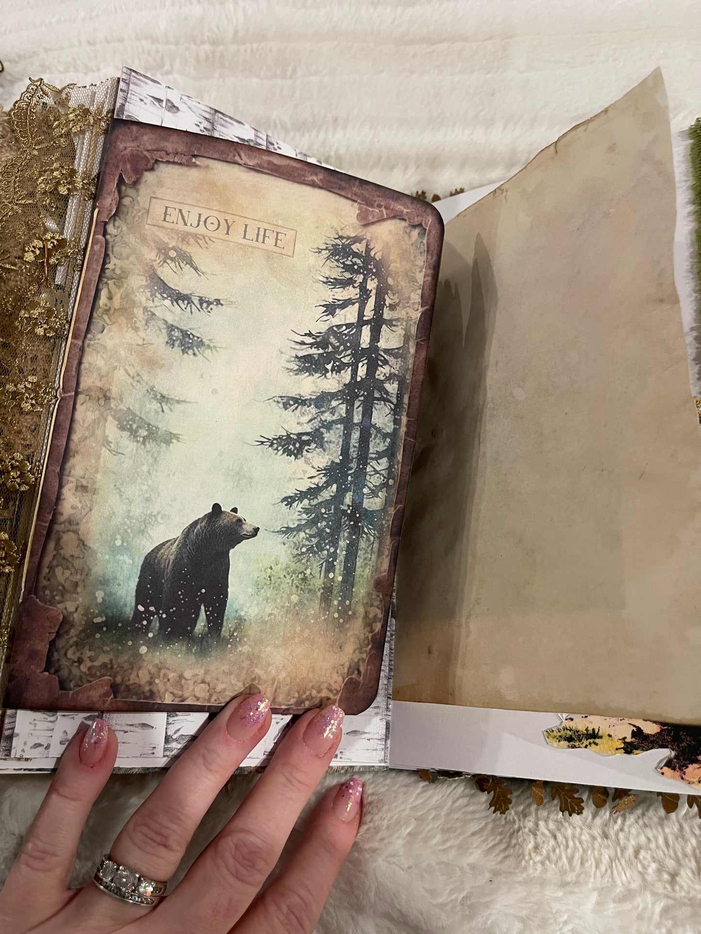 Bear Journal, Iris