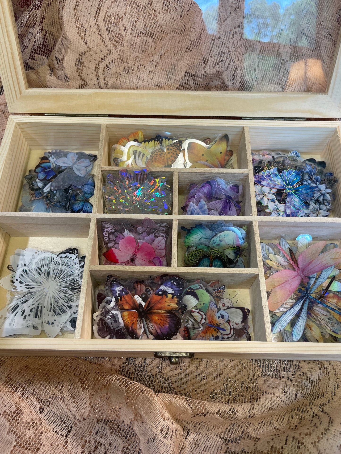 Made to order Specimen Box